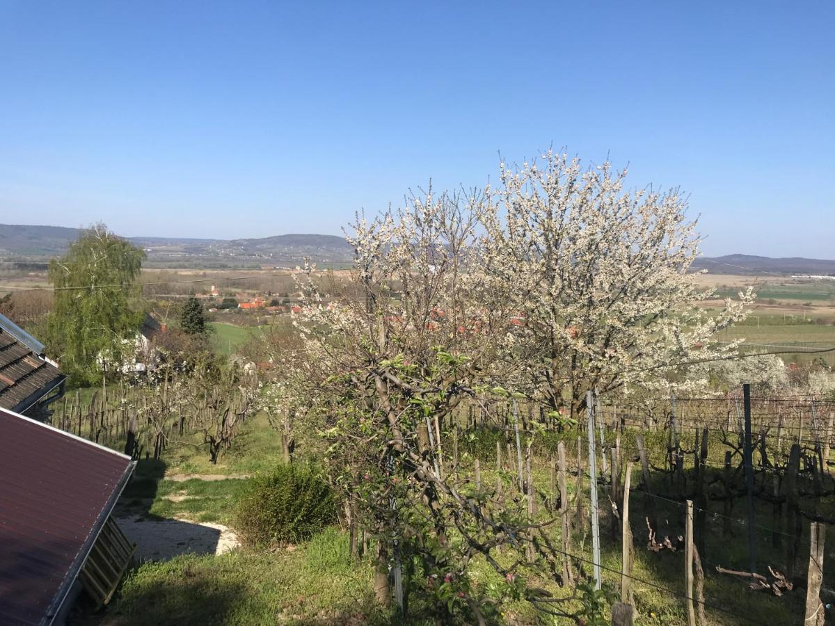 Kofal Pince Raposka Esterno foto