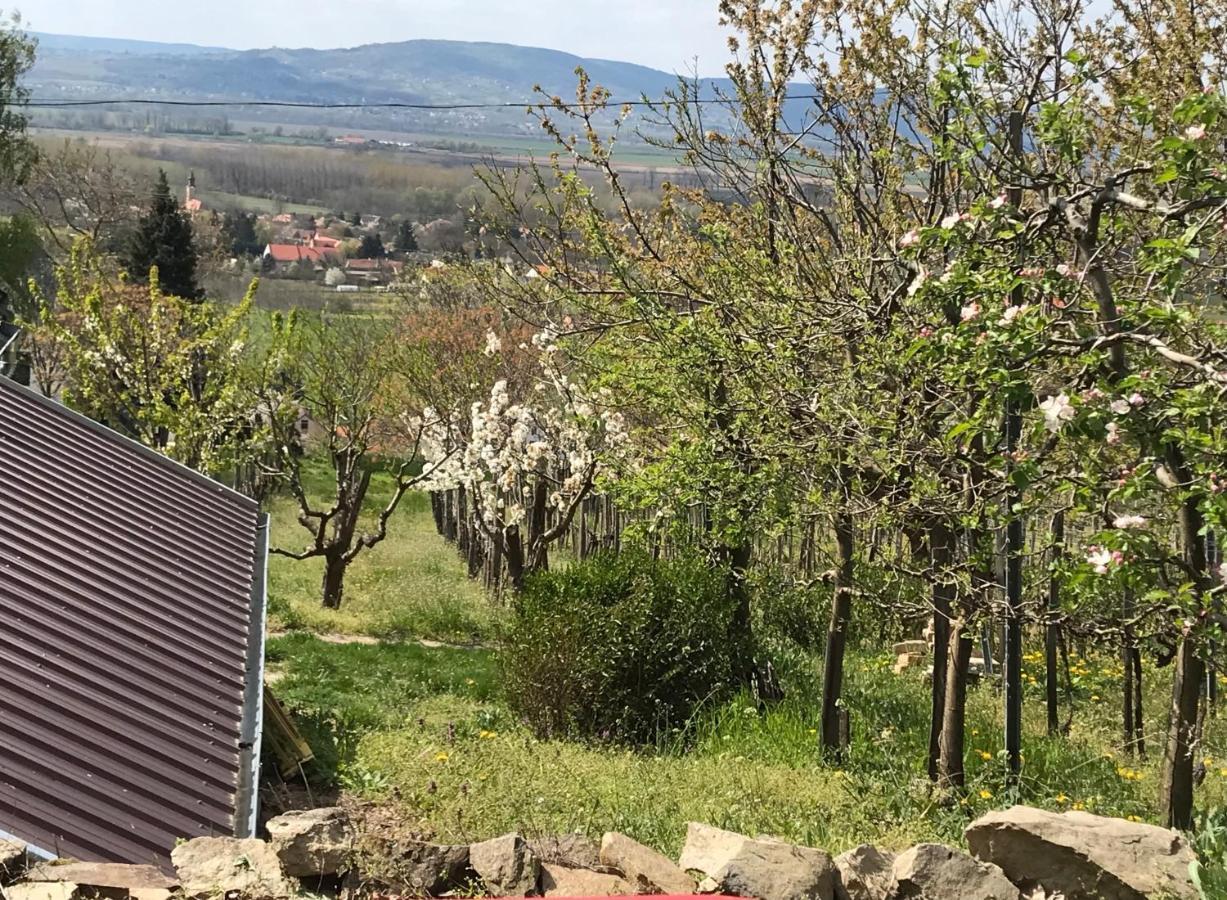 Kofal Pince Raposka Esterno foto