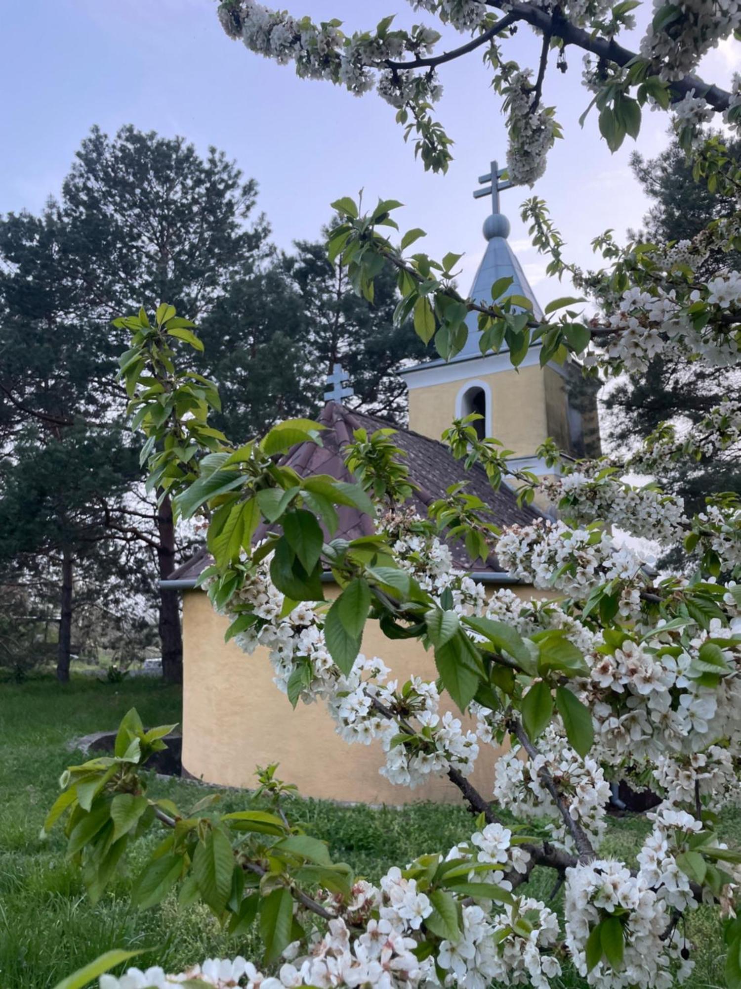 Kofal Pince Raposka Esterno foto