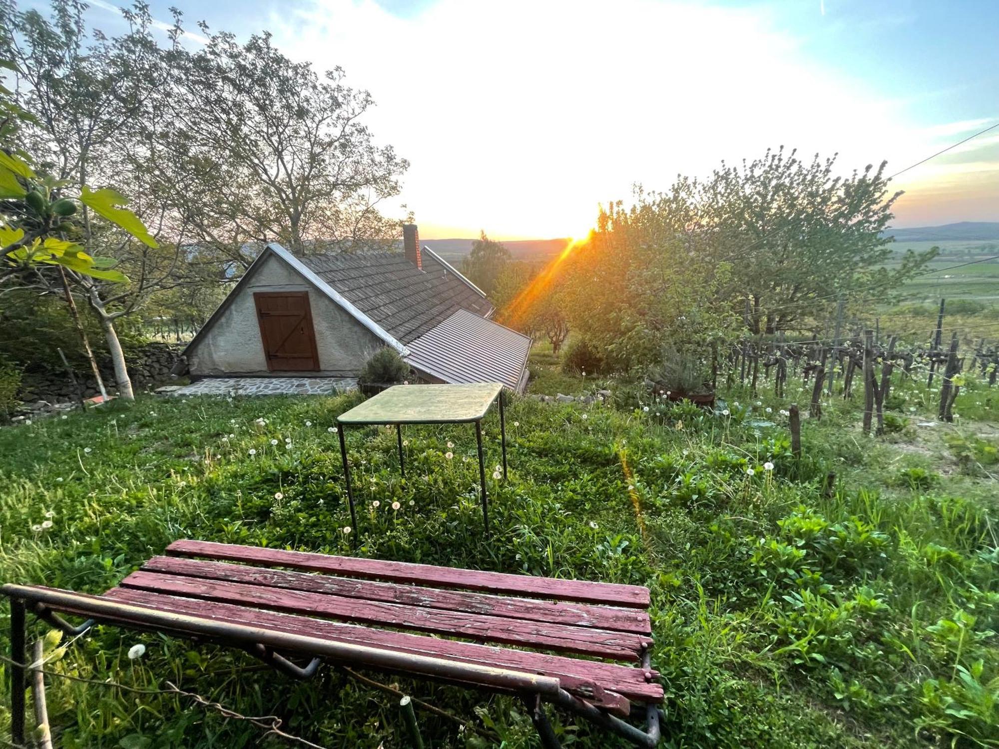 Kofal Pince Raposka Esterno foto